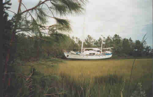 Marsh1.jpg - 10733 Bytes